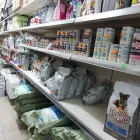 Immagine 3 azienda AGRI.FLOR.ALL. Vivaio in Capoterra CA