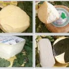 Immagine 9 azienda AGRICOLA MARIOTTI - FOOD FARM Ortofrutticoltura in Perugia
