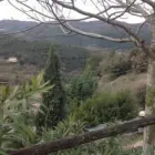 Immagine 4 azienda AGRITURISMO LA RIPPJA Viaggi e turismo in Spoleto PG