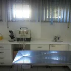 Immagine 2 azienda AMBULATORIO VETERINARIO ROSINI DOTT. EMIDIO Veterinario in Martinsicuro