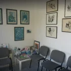 Immagine 3 azienda AMBULATORIO VETERINARIO ROSINI DOTT. EMIDIO Veterinario in Martinsicuro