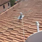 Immagine 3 azienda ANTENNISTA ZUCCHINI Veicoli in San Lazzaro Di Savena BO