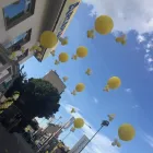Immagine 2 azienda ARCAPLANET Shopping e acquisti in Milano