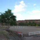Immagine 4 azienda ASD WHIP CLUB EUR in Roma