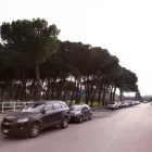 Immagine 16 azienda AUTOCARROZZERIA EUROPA Vendita e riparazione parabrezza in Prato
