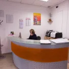 Immagine 23 azienda AUTOCARROZZERIA EUROPA Vendita e riparazione parabrezza in Prato