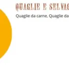 Immagine 4 azienda AVICOLA BERRETTONI Macelleria in Morro San Nicolo' Pg