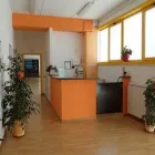Immagine 6 azienda BODY'S WORK Sport e tempo libero in Livorno