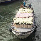 Immagine 4 azienda BRUSSA IS BOAT SAS Viaggi e turismo in Venezia