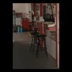 Immagine 4 azienda CARROZZERIA AUTOSERVICE RIBANI Veicoli in San Lazzaro Di Savena BO