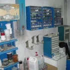 Immagine 4 azienda CARROZZERIA ETRURIA Veicoli in Cecina LI