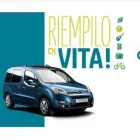 Immagine 6 azienda CENTRALCAR SERVICE Veicoli in Perugia