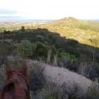 Immagine 2 azienda CENTRO ESCURSIONI A CAVALLO SANTA VITTORIA Industrie e agricoltura in Capoterra CA