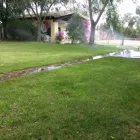 Immagine 9 azienda CENTRO ESCURSIONI A CAVALLO SANTA VITTORIA Industrie e agricoltura in Capoterra CA