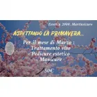 Immagine 1 azienda CENTRO ESTETICO ESTETICA 2000 Servizi di bellezza in Martinsicuro