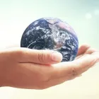 Immagine 3 azienda CONSULENZA INTEGRATA S.R.L. Servizi professionali in Roma