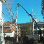 Immagine 4 azienda EDEN Vivaio in Cento FE