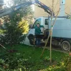 Immagine 6 azienda EDEN Vivaio in Cento FE