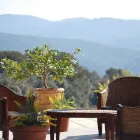 Immagine 1 azienda ERBA DI CAMPO Ristorante in Livorno