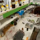 Immagine 3 azienda FARMACIA GIULIO CESARE Shopping e acquisti in Roma