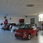 Immagine 1 azienda FERRONI AUTO Veicoli in Spoleto PG