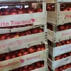 Immagine 1 azienda FRESCO IN CITTÀ Supermercato in Livorno