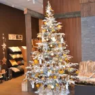 Immagine 8 azienda GARDEN PARIS Vivaio in Roma