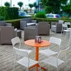 Immagine 8 azienda GELATERIA SOTTO ZERO - PIZZERIA ALIMENTARI Pizzeria in Martinsicuro