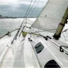Immagine 1 azienda MARINA 2 Servizi professionali in Venezia
