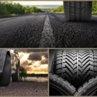 Immagine 5 azienda MERLI GOMME Veicoli in Perugia
