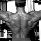 Immagine 2 azienda MILANO PERSONAL TRAINER Sport e tempo libero in Milano