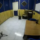 Immagine 5 azienda MUSIC VILLAGE INSTITUTE Studio di registrazione in Roma