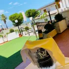 Immagine 2 azienda OSTERIA GALLO NERO Tavola calda in Martinsicuro