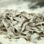 Immagine 3 azienda PICA PASTA ALL'UOVO Pastificio in Roma