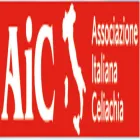 Immagine 1 azienda PIZZERIA AE OKE ZATTERE Tavola calda in Venezia