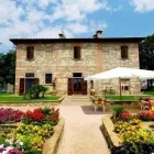 Immagine 2 azienda PODERE GLI OLMI Viaggi e turismo in Cecina LI