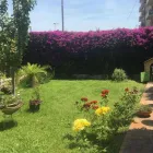 Immagine 1 azienda RADECO GROUP NIVAMAR Immobiliare e ristrutturazioni in Livorno
