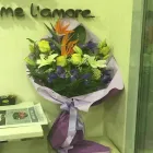 Immagine 2 azienda RE DI FIORI Vivaio in San Lazzaro Di Savena BO