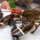 Immagine 1 azienda RISTORANTE DA NANO - SPECIALITÀ PESCE Sala per banchetti in Spresiano TV