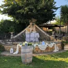 Immagine 5 azienda RISTORANTE LA NUOVA PINETA - GUIDO IL MOLISANO Sala per banchetti in Grottaferrata RM