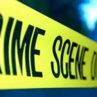 Immagine 1 azienda ROMA INFORMATICA E SICUREZZA Servizi professionali in Roma