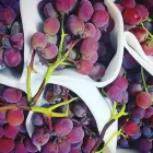 Immagine 2 azienda ROMANA FRUTTA Shopping e acquisti in Roma