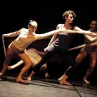 Immagine 1 azienda ST DANZA - CENTROFORMAZIONE Scuola di danza in Livorno