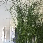 Immagine 1 azienda STAGNI 47 Shopping e acquisti in San Lazzaro Di Savena BO