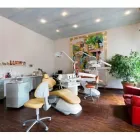 Immagine 4 azienda STUDIO DENTISTICO BERTINI DR. PIO Salute in Firenze