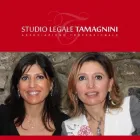 Immagine 1 azienda STUDIO LEGALE TAMAGNINI Servizi legali e finanziari in Roma