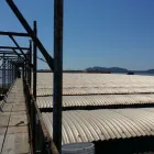 Immagine 8 azienda TECNICHE DI PONTEGGI Shopping e acquisti in Quartu Sant'elena CA