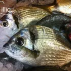 Immagine 2 azienda TRATTORIA LILLICU Tavola calda in Cagliari
