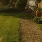 Immagine 8 azienda VERDE GIARDINO Vivaio in Perugia