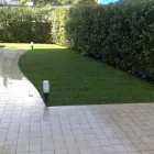 Immagine 1 azienda VERDEGGIANDO CREAZIONE E CURA DEL VERDE IMPRESA DI GIARDINAGGIO - EMAIL: [EMAIL PROTECTED] Vivaio in Martinsicuro